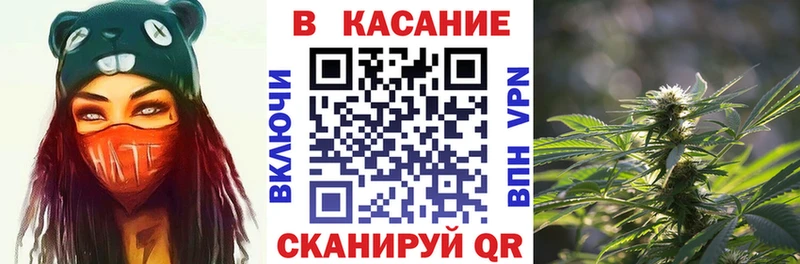 Галлюциногенные грибы Москва