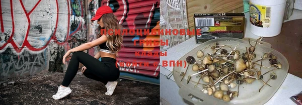 Альфа ПВП Киреевск