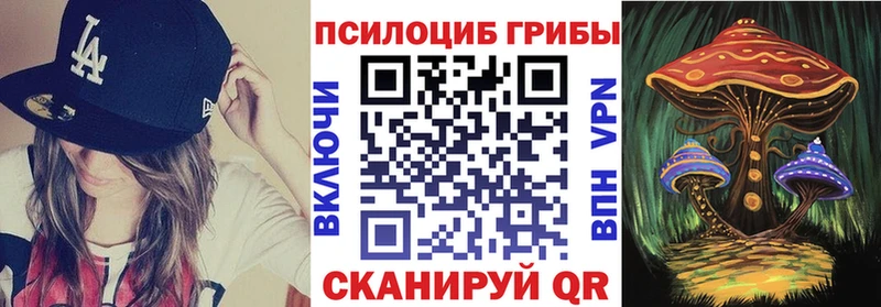 купить закладку  Москва  Псилоцибиновые грибы мицелий 
